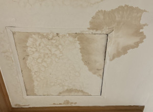 Prestravila ga je buka iz plafona, odmah pozvao pomoć: Ono šta su pronašli tamo ledi krv u žilama