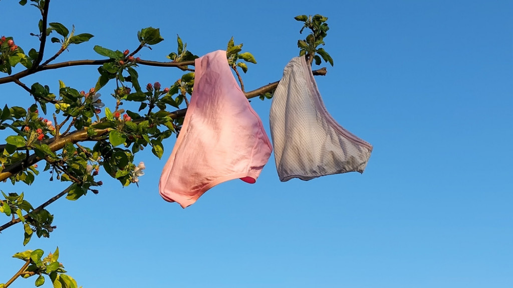 "Nosim iste već pet godina": Koliko često treba menjati donji veš? Iznenadiće vas mišljenje lekara