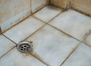 Tri sredstva koje razaraju buđ i kamenac u kupatilu: Počice će se sijati, fugne će biti savršeno bele