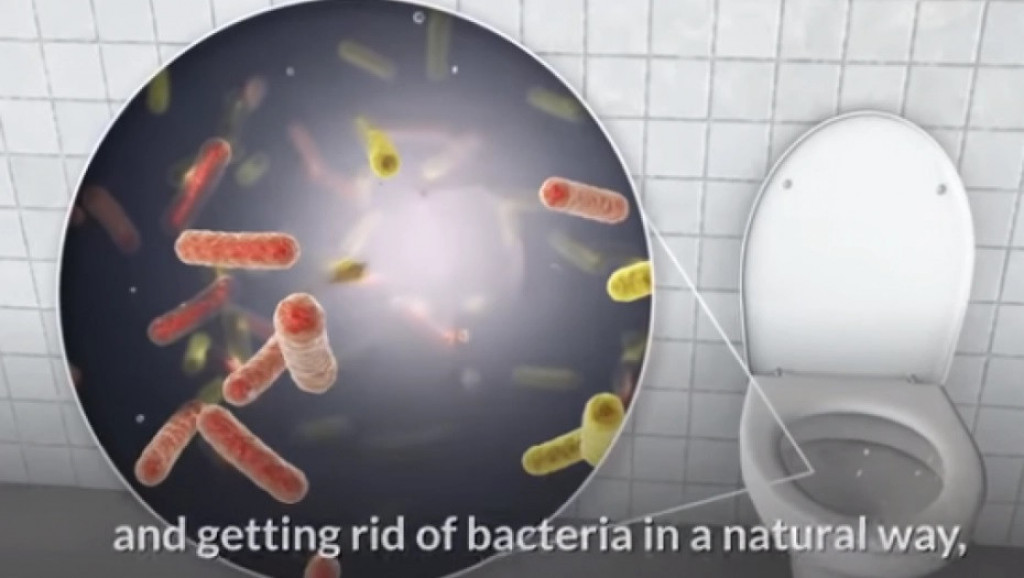 ČIšćenje kupatila bez hemije: U toku noći ubacite beli luk u wc šolju ujutro ćete se zaprepastiti onim šta vidite