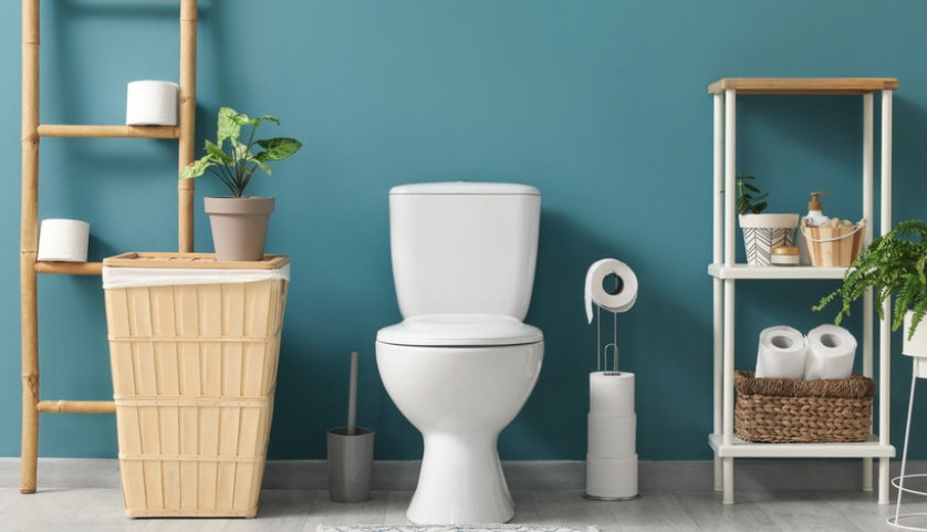 Profesionalna čistačica tvrdi: Svi misle da je najprljavija wc šolja, a zapravo je ovo, jer se najređe čisti!