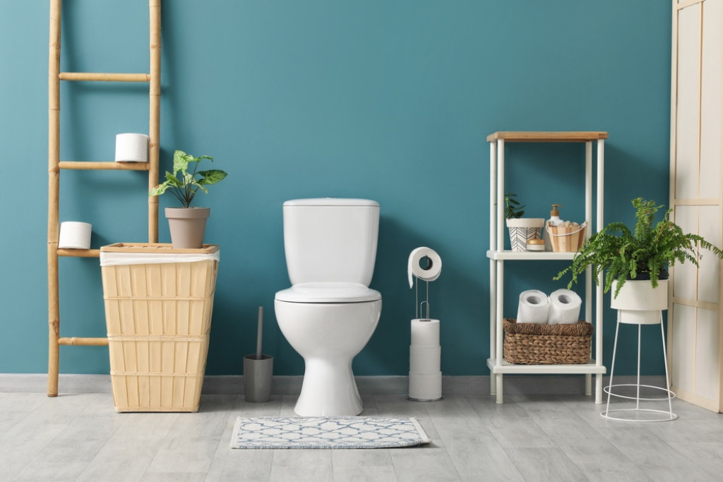 Profesionalna čistačica tvrdi: Svi misle da je najprljavija wc šolja, a zapravo je ovo, jer se najređe čisti!