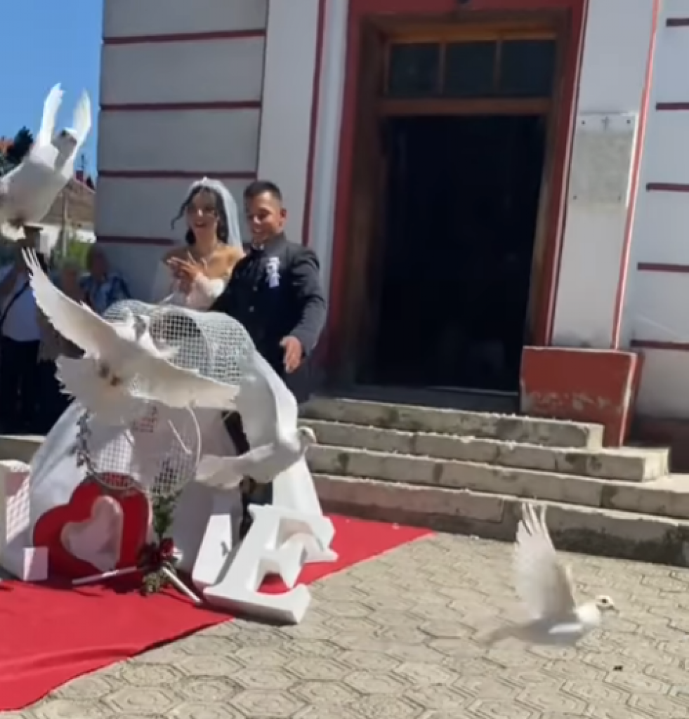 Mladenci hteli da proslave, a onda svi golubovi poleteli pravo u goste: Srušila se dekoracija, pa nastao opšti haos