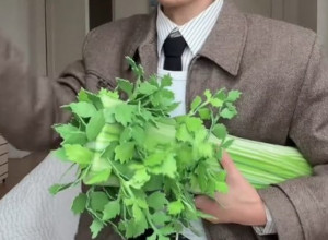 Ima li granica modnom ludilu: Najzabavnija torbica na svetu: Celer za pola miliona? Prava sitnica (VIDEO)
