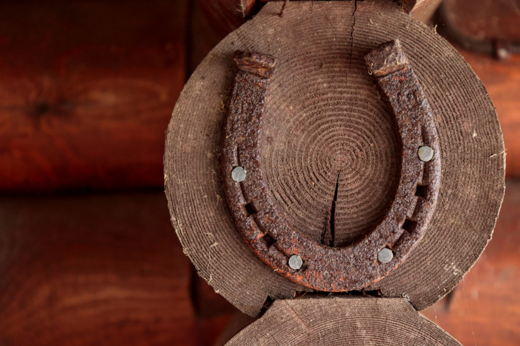 Po januaru se godina poznaje: 4 horoskopska znaka će doživeti ludačku sreću početkom 2025. godine, rešiće sve finansijske probleme