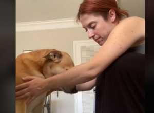 Žena je udomila psa: Kad je čuo da kuća u kojoj će živeti ima dvorište, njegova sreća je rastopila srca svih ljudi