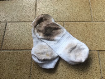 Izbeljivač pada u drugi plan: Čarape će biti bele kao sneg kada ih operete sa ovim sredstvom, potpuno je prirodno