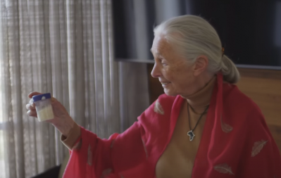 Preminula u 91. godini: Ceo svet je obožavao naučnicu, pa tako i princ Hari i Megan, prisetili se dirljivog trenutka