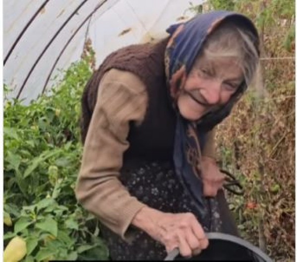 Cepa drva, pešači kilometre i bori se za sina: Njena priča rasplakala je Srbiju, a sada stižu lepe vesti