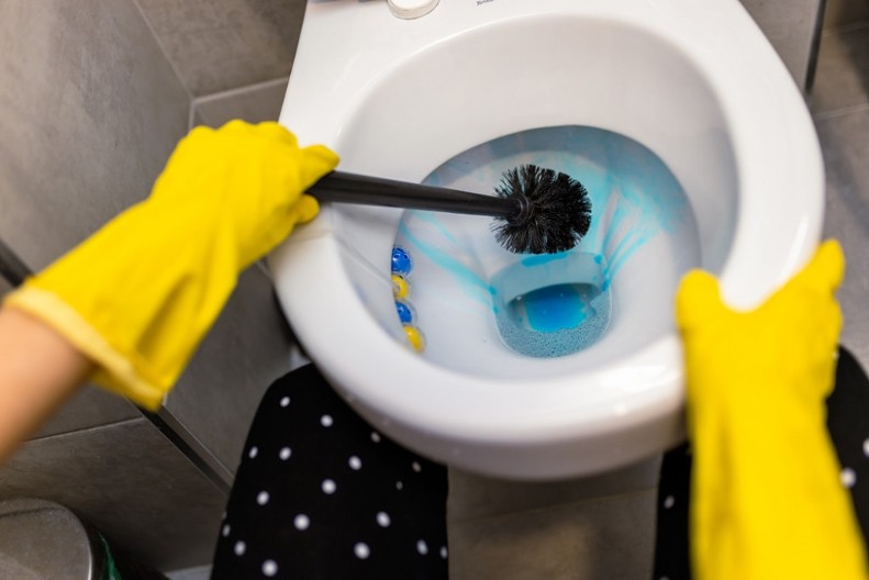 Očistite četku za WC šolju bez pipanja: Evo kako da napravite rastvor za dubinsku dezinfekciju