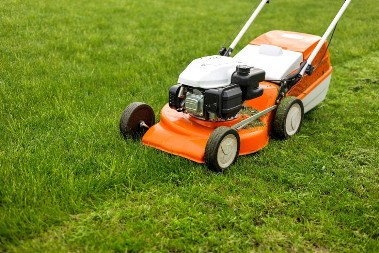 Ne bacajte travu posle košenja: Genijalan trik iz dvorišta – štedi pare, čuva biljke i hrani životinje