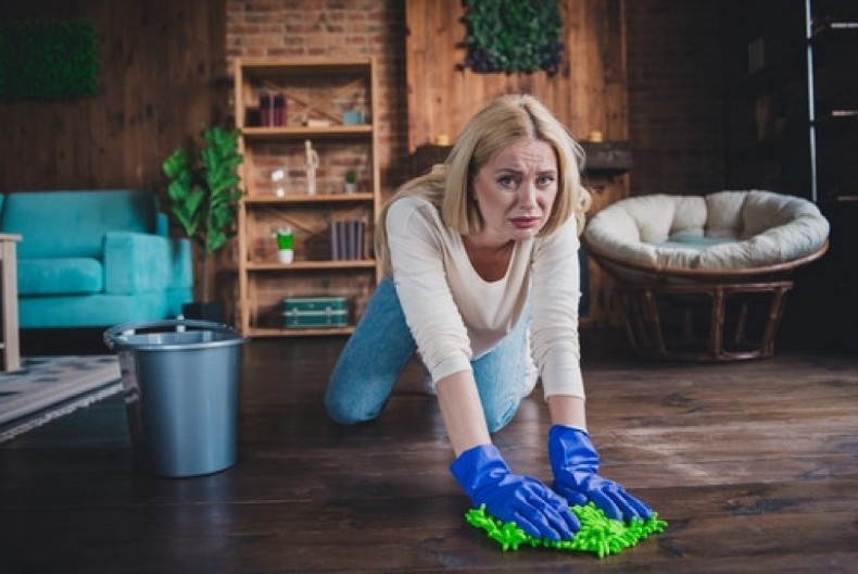 Nabavite ovu biljku i za vas kreće bolji život: Veruje se da privlači novac i sreću domaćinima