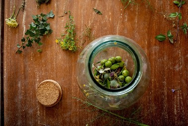 Zovu ga čaj za pevače: Od ove biljke od davnina se pravi savršen napitak  za grlo i glasne žice