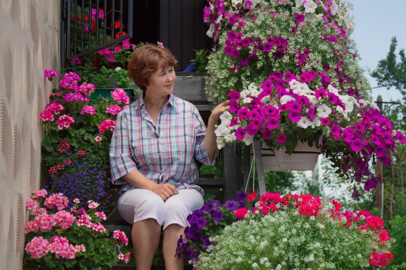 Sada je vreme da posadite najlepši letnji cvet: Krasiće vam terasu sve do kasne jeseni