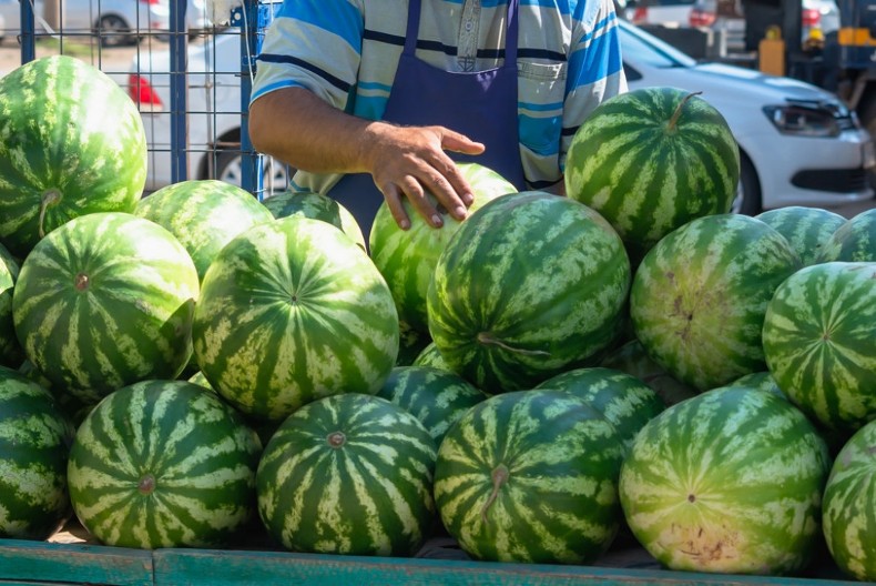 Kako prepoznati zrelu lubenicu bez probanja? Jedan znak u njenom izgledu garantuje da je slatka kao šećer!