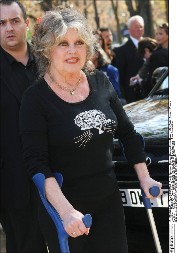 U Francuskoj se proširio trač da je Brižit Bardo umrla! Sada se čuvena glumica oglasila i poslala moćnu poruku!