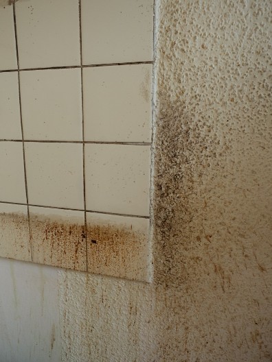 Otapa i onu najgoru masnoću, skida sve kao od šale: Kako očistiti kuhinjske pločice, biće kao nove