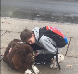 Pas je preko noći postao popularan: Nije dao dečaku da ode u školu, a razlog je raznežio 5 miliona ljudi!
