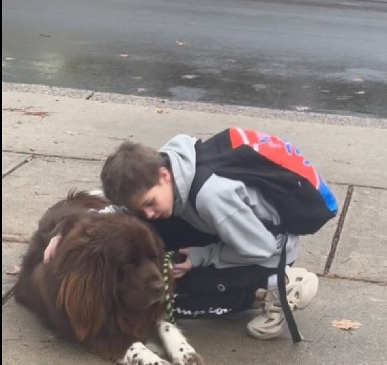 Pas je preko noći postao popularan: Nije dao dečaku da ode u školu, a razlog je raznežio 5 miliona ljudi!