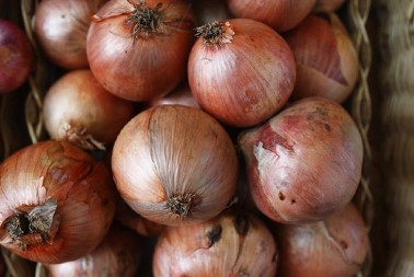 Sačuvajte luk: Na ovom mestu će duže trajati, domaćice potvrđuju i toplo preporučuju