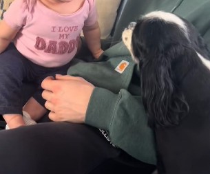 Beba postala popularna preko noći: Njen neodoljiv smeh koji izaziva pas raznežio je 6 miliona ljudi!