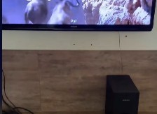 Mačak zaradio 5 miliona pregleda: Zavalio se u stolicu kao kralj, a kada vidite šta drži u krilu, oduševićete se!