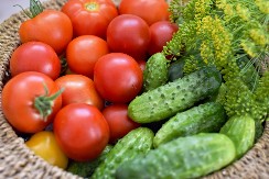 Paradajz i krastavac ne smeju da se jedu zajedno? Omiljena letnja salata nije najbolja kao što smo mislili, evo u čemu je caka