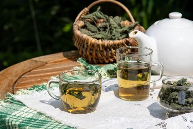 Recept za sirup od mlade koprive: I lekari ga preporučuju, čisti krv i jetru, potpuno jača imunitet