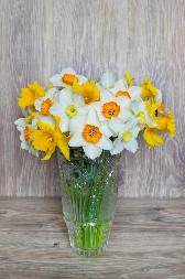 Mnogi unose narcise u dom, a ne znaju njihovo značenje: Evo šta simbolizuje ovaj cvet i kakvu energiju donosi u kuću