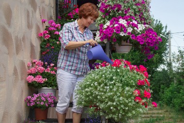 Sadi se sada da bi cvetalo cele godine: 4 vrste cveća koje izdrže i ono najgore, ukrašavaju terase i dvorište svih 365 dana