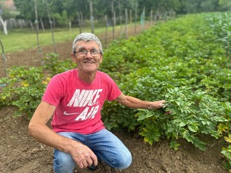 Dodajte ovaj sastojak prilikom sadnje krompira: Zlatice će ga zaobilaziti u širokom luku