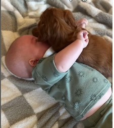 Ovo je nešto najlepše što ćete danas videti: Štene je prvi put prišlo bebi, njihova sreća raznežila je i najtvrđa srca!