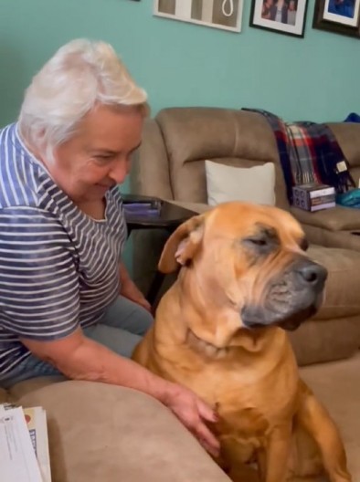 Pas moli baku da ga pusti na kauč: Glumatanje ljubimca nasmejalo do suza milione ljudi, zaslužio je Oskara!