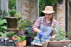 Kako se rešiti komaraca na jednostavan način: Uz pomoć kartonskih kutija od jaja oteraćete ih zasvagda