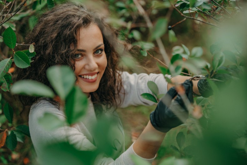 Voće koje je jeftino, ali zlata vredno: Štiti srce, jetru i podstiče rad štitne žlezde