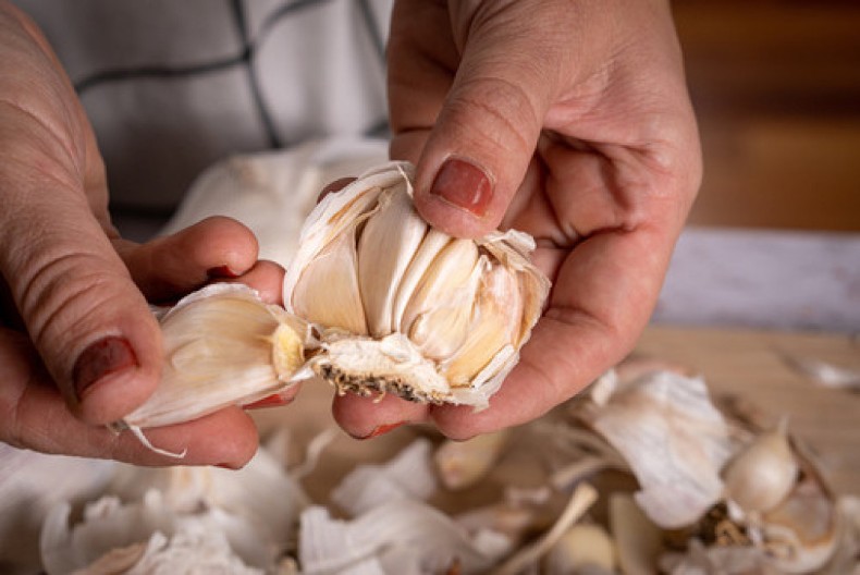 Ne bacajte ljuske od belog luka: Iskoristite ih za razne namene, kao što su radile naše bake