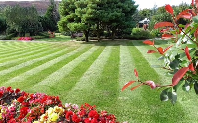 Travnjak kao iz filma: Evo kako da trava raste baš tamo gde treba, baštovani znaju u čemu je stvar