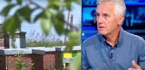 Gledajte u dno tegle: Pčelar otkrio kako prepoznati pravi med – ‘Ljudi vide da je ušećeren i odmah misle da je lažan’“