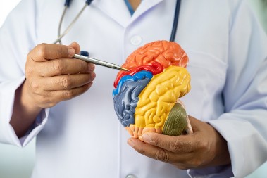 Mozak će da radi kao sat: Poboljšajte njegovu funkciju na 7 jednostavnih načina, uključite ih u svakodnevnu rutinu