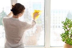 Ne bacajte pare na hemikalije: Ovo prirodno sredstvo najbolje čisti prozore, plus tera ove štetočine