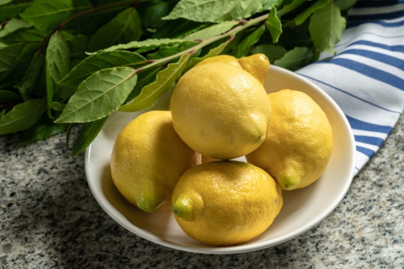 Čim kupite limun, stavite ga u zamrzivač: Evo zašto je to odlična ideja, sigurno se nećete pokajati