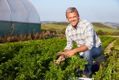 Možda zvuči neverovatno ali radi posao: Evo zbog čega baštovani u septembru biljke prskaju mlekom