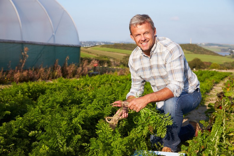 Možda zvuči neverovatno ali radi posao: Evo zbog čega baštovani u septembru biljke prskaju mlekom