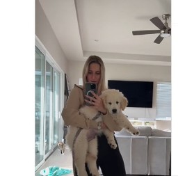 Zlatni retriver prvi put kod veterinara: Njegova reakcija topi i najtvrđa srca, svi pričaju o tome!