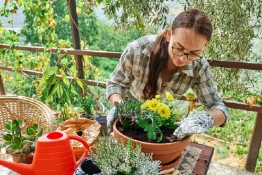 Kada cveće treba hitno uneti u kuću? Spasite ga od prevremenog propadanja
