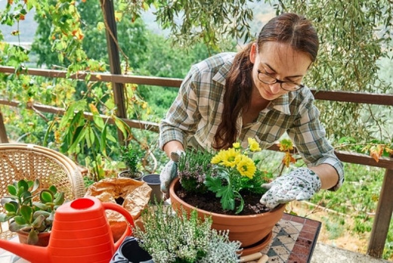 Kada cveće treba hitno uneti u kuću? Spasite ga od prevremenog propadanja