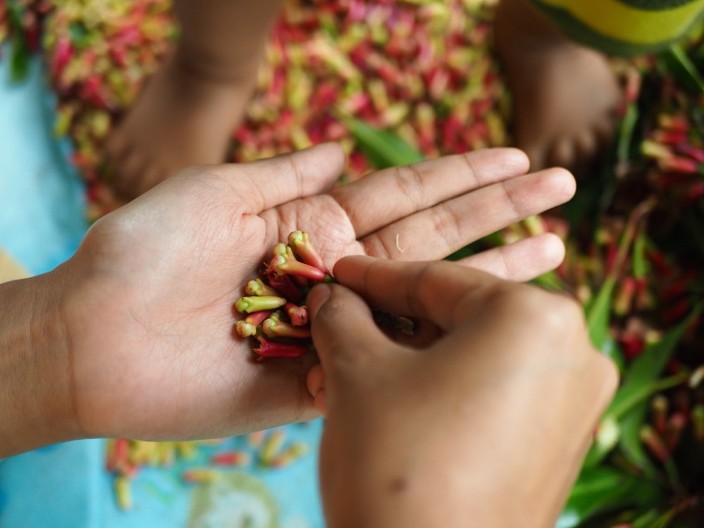 Postavila je karanfilić na sva vrata u kući: Preko noći rešila problem koji je godinama trajao