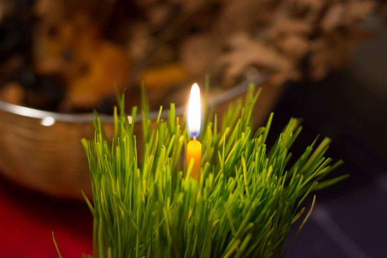 Nikako ne smete da je bacite, stavlja se na posebno mesto: Evo šta treba da uradite sa pšenicom posle Božića