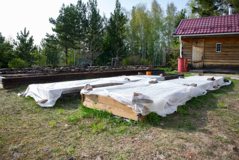 Stručnjak upozorava: Još ove nedelje stavite stari čaršav u baštu – evo i zbog čega