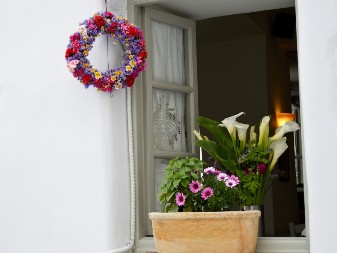 Postavila je karanfilić na sva vrata u kući: Preko noći rešila problem koji je godinama trajao